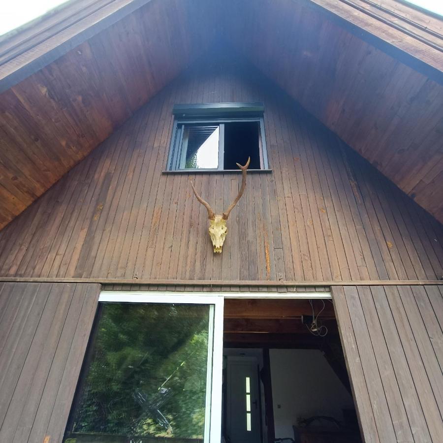 Chalet- Vallee De Luchon - Vallee De La Pique Cierp Dış mekan fotoğraf