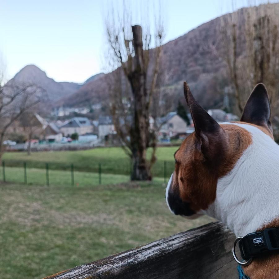 Chalet- Vallee De Luchon - Vallee De La Pique Cierp Dış mekan fotoğraf