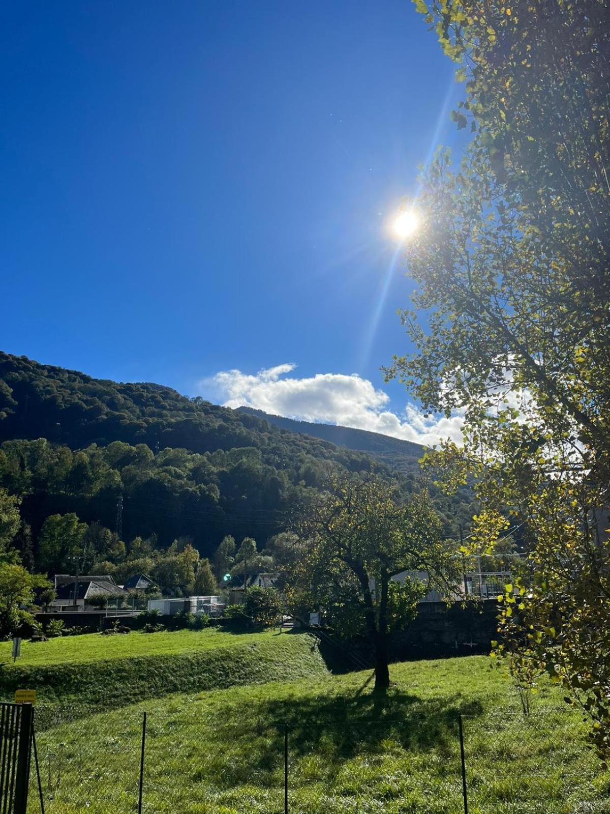 Chalet- Vallee De Luchon - Vallee De La Pique Cierp Dış mekan fotoğraf